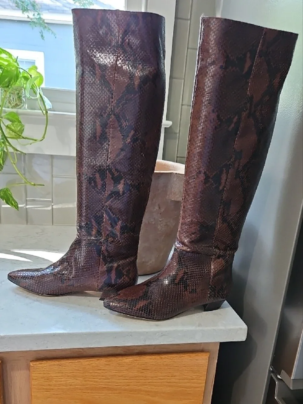 Sigerson Morrison Women’s Tall Snake-Embossed Leather Boots in Dark Brown